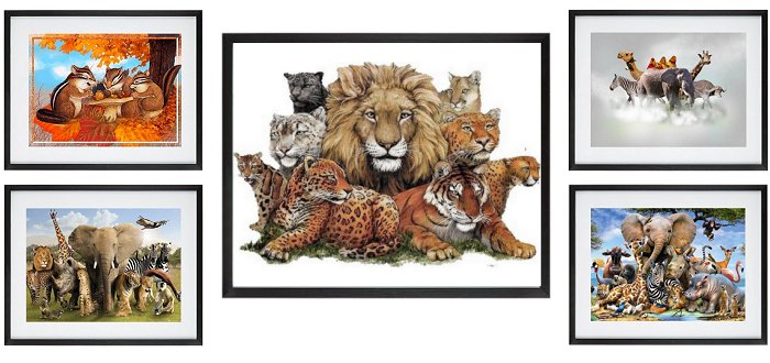 Animal Framed Prints